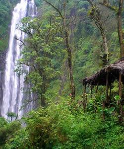 Marangu Falls