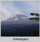 Kilimanjaro
