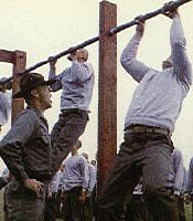 pullups.jpg